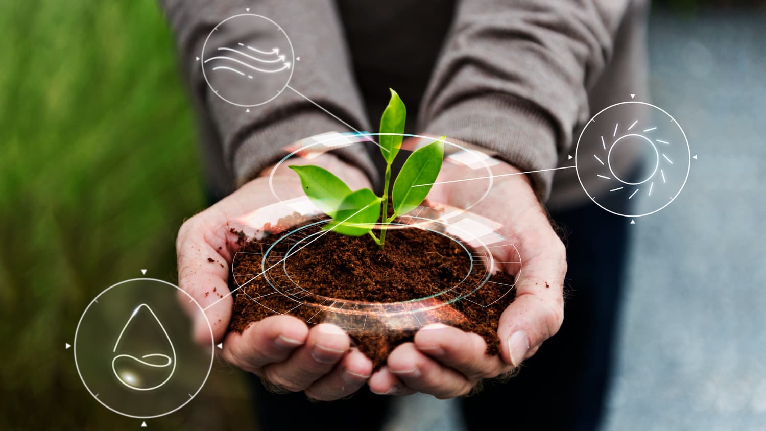 secteurs strategiques agroecologie
